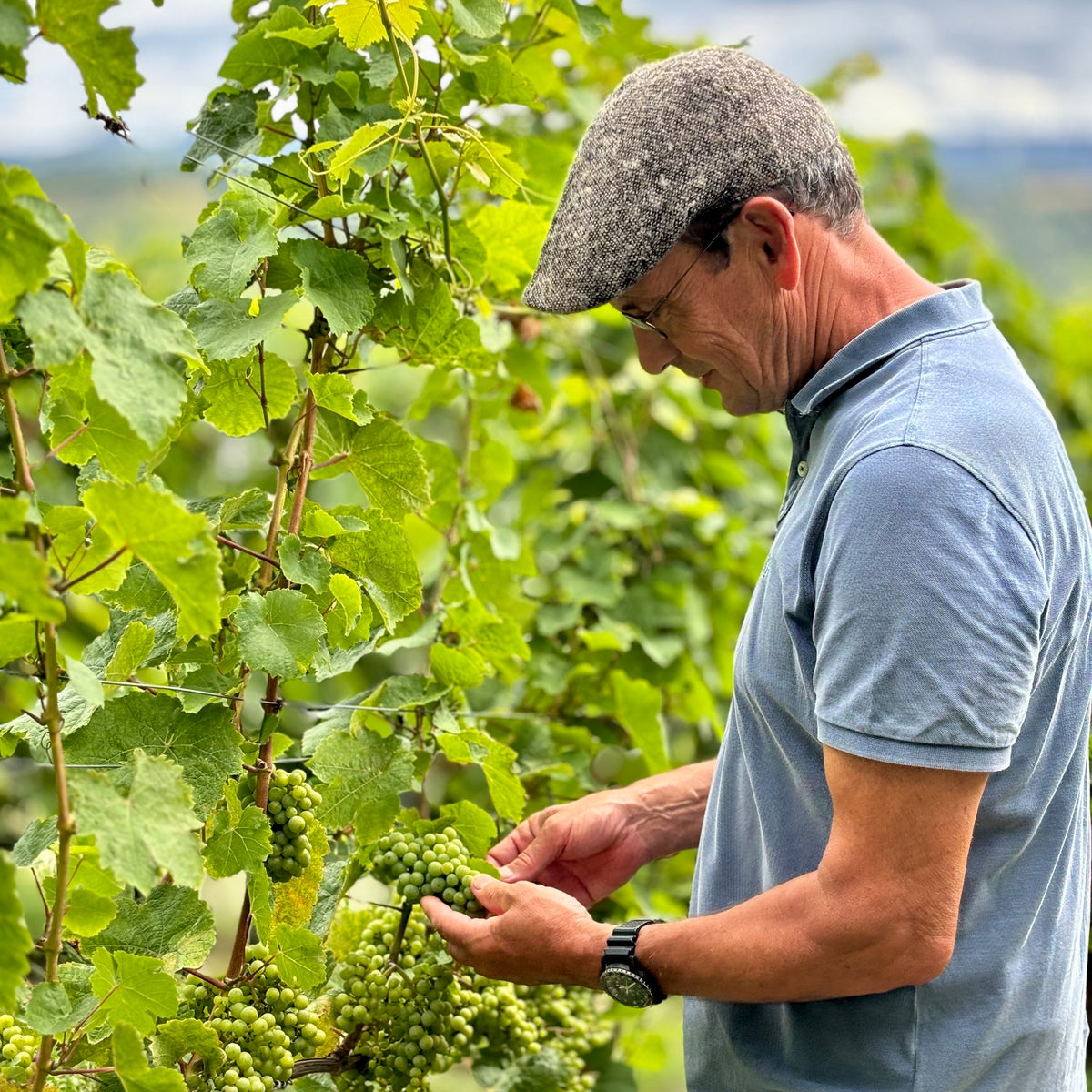 Armin Vogel